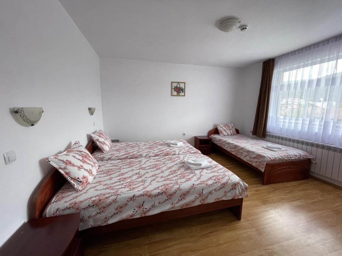 Family Hotel Panorama Sarnitsa Extérieur photo